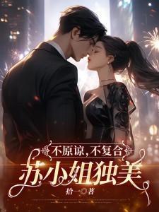 苏小姐独美 第243章