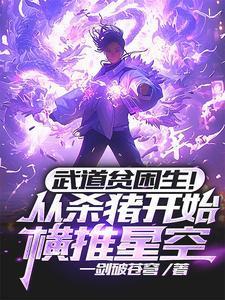 武道贫困生!从杀猪开始横推星空多少字