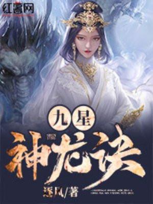 九星神龙诀修炼等级