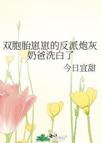 双胞胎崽崽的反派炮灰奶爸洗白了宋知念