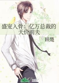 盛宠入骨亿万总裁的天价前夫笔趣