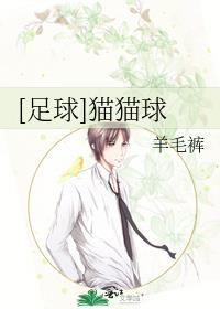 足球猫猫球txt