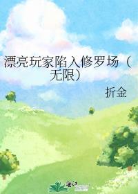 漂亮玩家陷入修罗场(无限) 折金