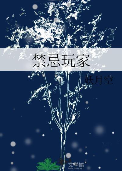 禁忌玩家银苏