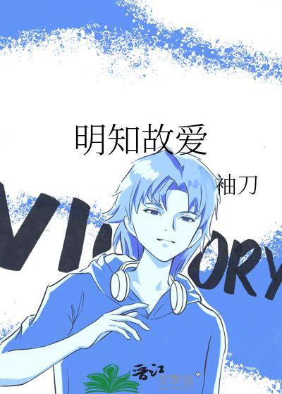 明知故爱王子甲