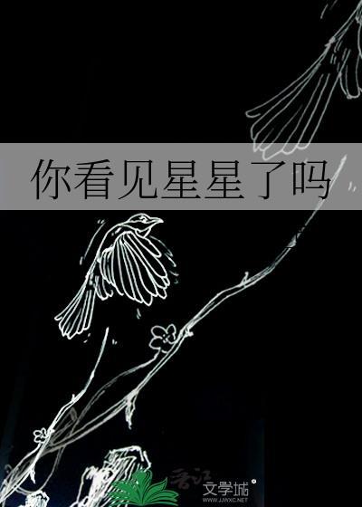 你看见星星了吗第15章