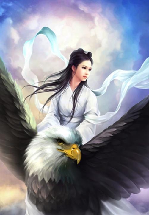 女主叫沈南