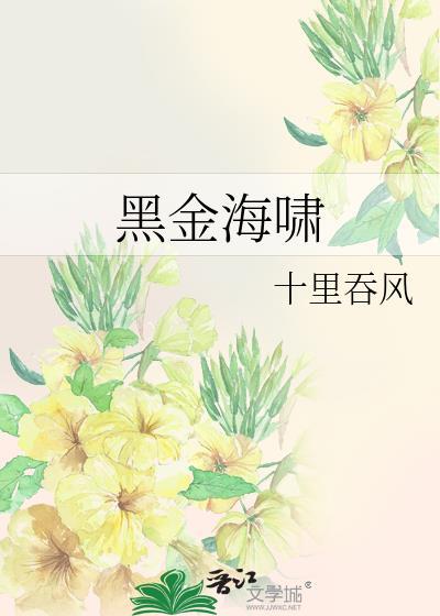 黑金海啸全文阅读