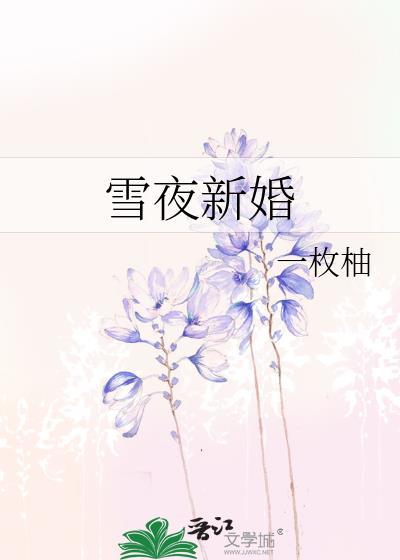 雪夜新婚txt免费全本