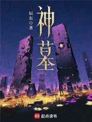 神墓辰南的身份