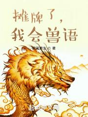我摊牌了是啥意思