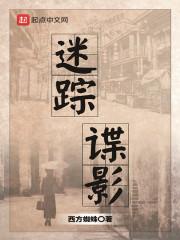 迷踪谍影结局