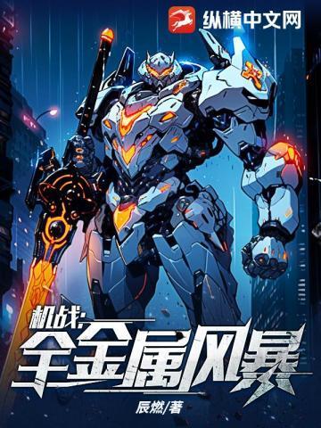 机战全金属风暴好看吗