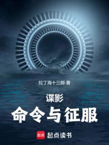 谍影命令与征服txt