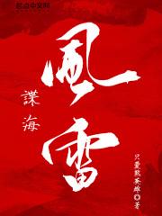 谍海风雷电视剧全集免费观看