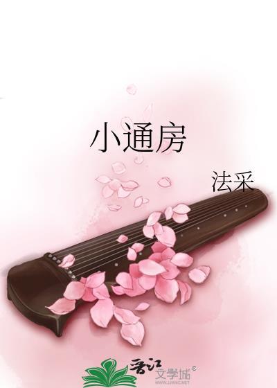 小通房法采讲的什么