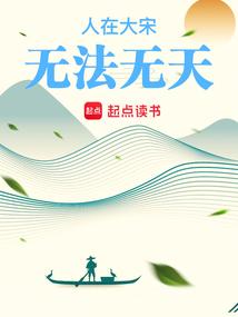 人在大宋无法无天txt百度
