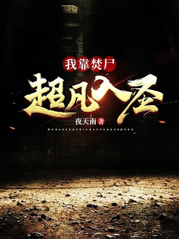 我靠焚尸超凡入圣境界介绍