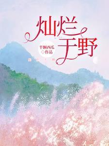 灿烂于野txt