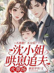 主角沈念安霍瑾川全集阅读