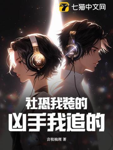 凶手我追的讲的什么