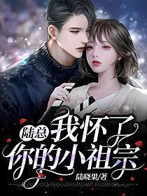 陆总我怀了你的小祖宗短剧全集