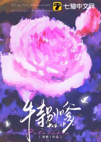 特别嗲的导航