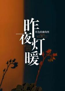昨夜灯暖by笔趣阁免费阅读