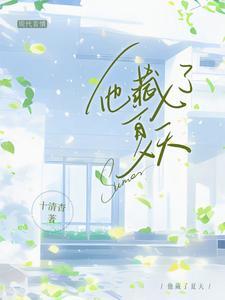 他藏了夏天免费阅读
