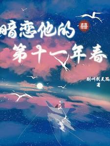 暗恋他的第十一年春笔趣阁