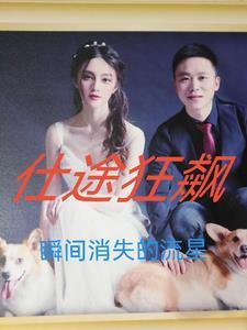 仕途狂飙周墨沈清宴