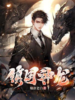 镇国神龙全集完整版免费观看