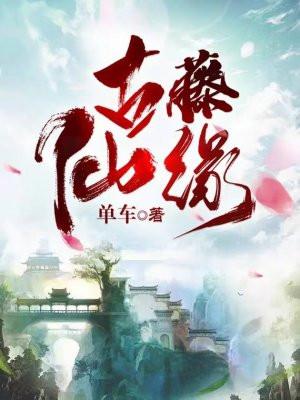 古藤仙缘全文免费阅读