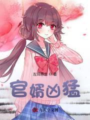 免费官场完结最强赘婿