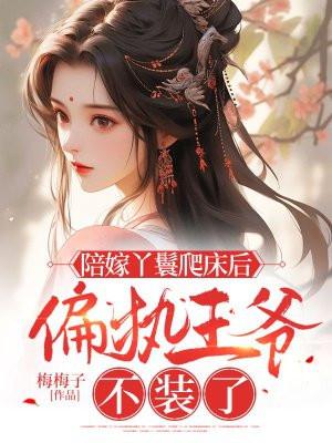 陪嫁丫鬟的上位史