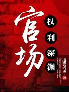 官场权利深渊全本
