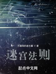 迷宫法则什么意思